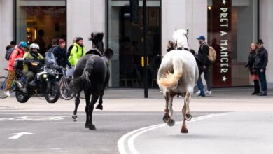 Photo of В Лондоне лошади сбежали от гвардейцев и проскакали по городу